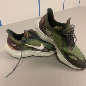 Nike Pegasus. Worn maybe 10 times